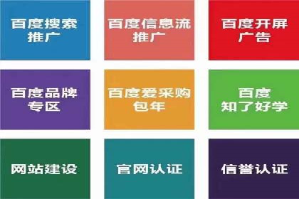 XX领域竞价广告的投放策略及效果展示